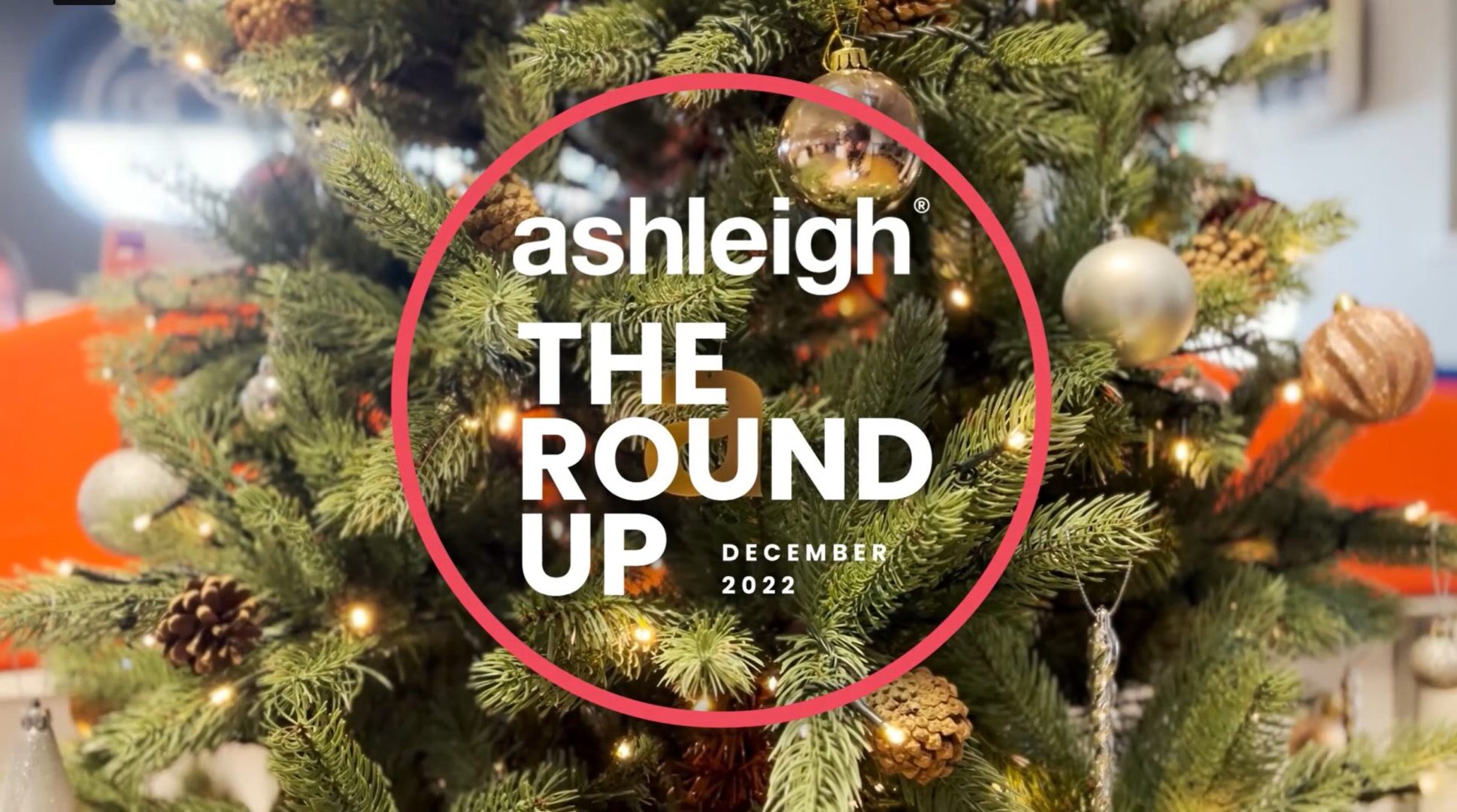 Ashleigh - 2022 December Summary